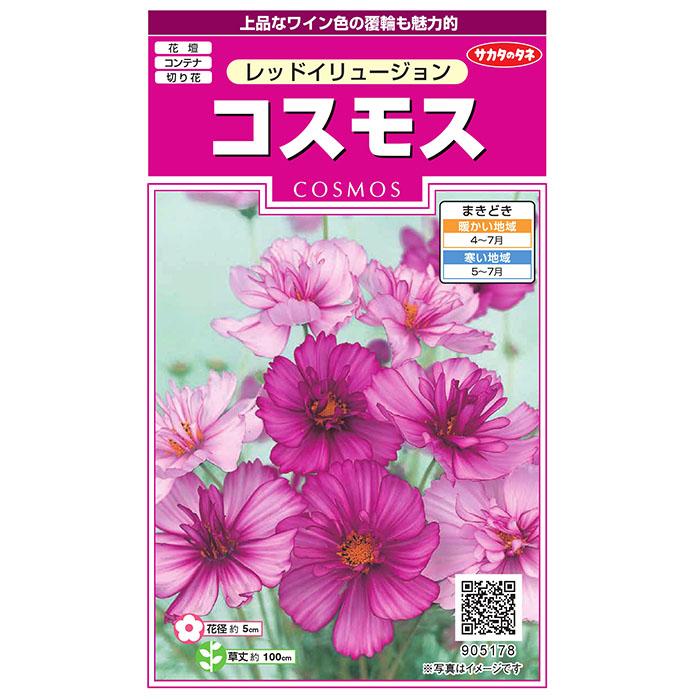 花の種 実咲花5178 コスモスレッドイリュージョン : STYLE1187 - 通販