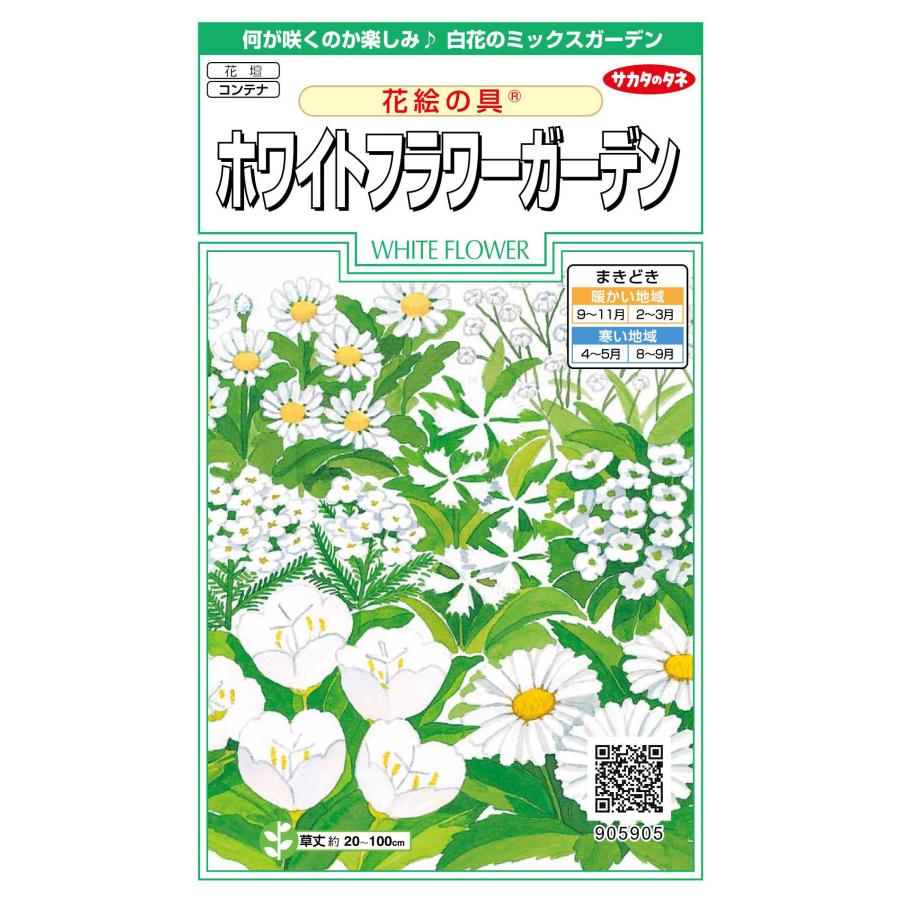 花の種 実咲花5905 花絵の具ホワイトフラワーガーデン : STYLE1187