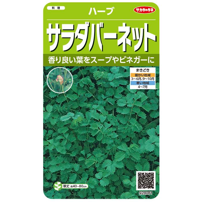 種子 サラダバーネット サカタのタネ 上品なスタイル