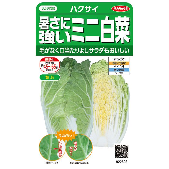野菜の種 実咲野菜2623 暑さに強いミニ白菜タイニーシュシュ サカタのタネ Tane 8 Style1187 通販 Yahoo ショッピング