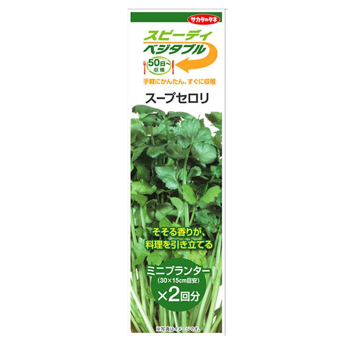 ハーブセロリ スープセルリー スープセロリ 種 有機種子 固定種 A043 グリーンフィールドプロジェクト