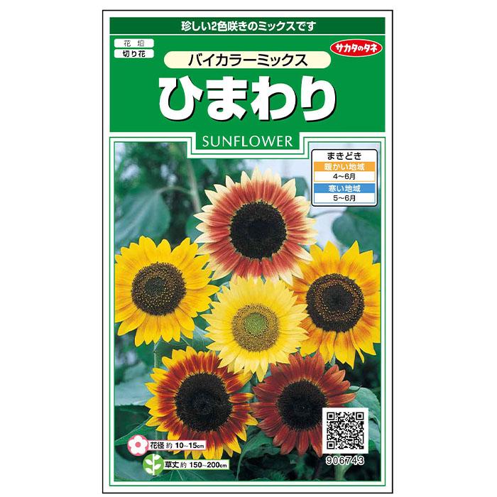 花の種 実咲花6743 ひまわり バイカラーミックス サカタのタネ 花の種 実咲花6743 ひまわり バイカラーミックス サカタのタネ