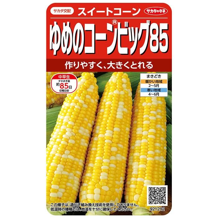 野菜の種 実咲野菜1212 トウモロコシ ゆめのコーンビッグ85