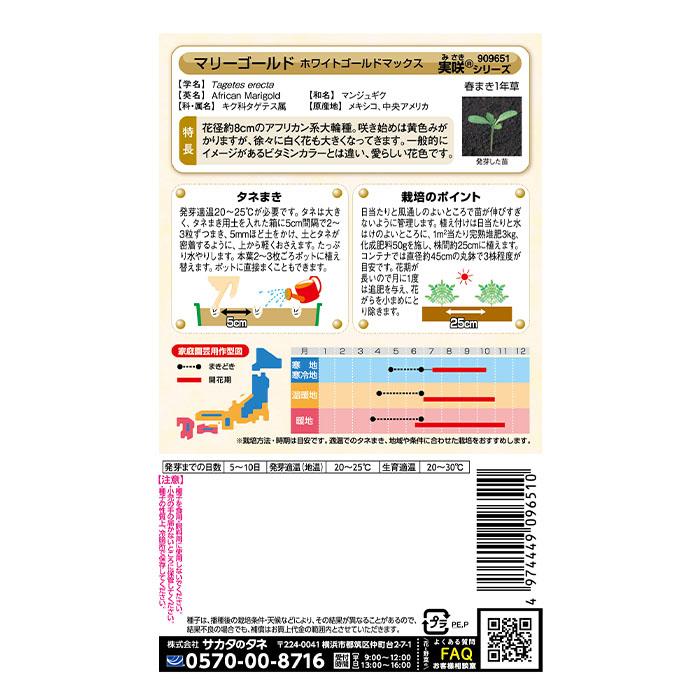 花の種 実咲花9651 マリーゴールド ホワイトゴールド マックス