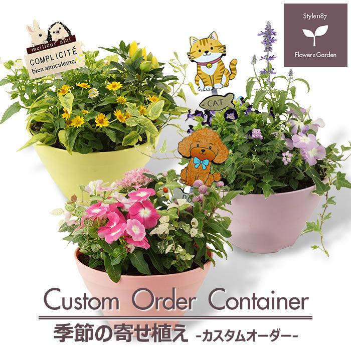 プランツ　オーダースペシャルセット！※オーダーはコメントにてお願いします 季節の寄せ植え ギフトに最適です。 カスタムオーダーできるボール