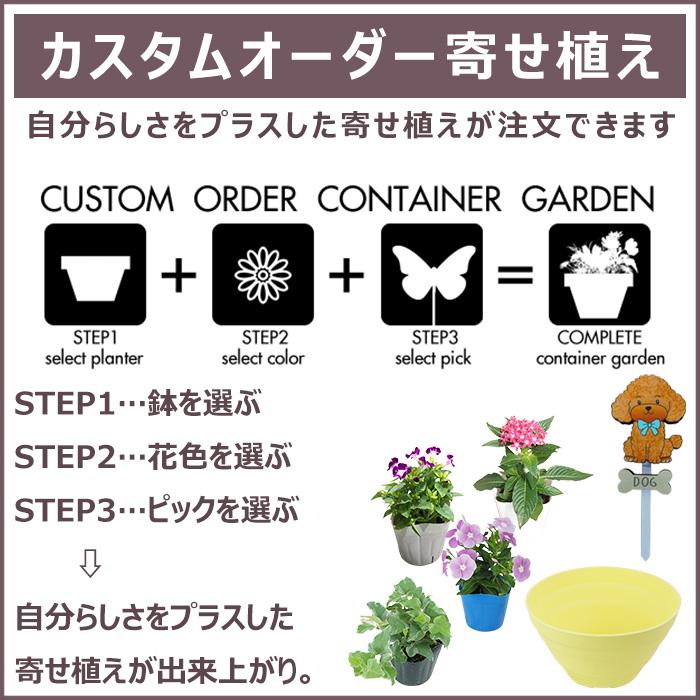 季節の寄せ植え ギフトに最適です。 カスタムオーダーできるボール