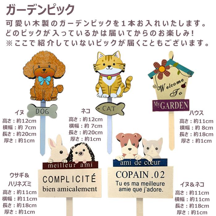季節の寄せ植え ギフトに最適です。 カスタムオーダーできるボール