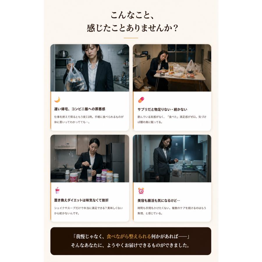 管理栄養士監修】発酵美人茶漬け 鮭 10食入 個包装 無添加 酵素
