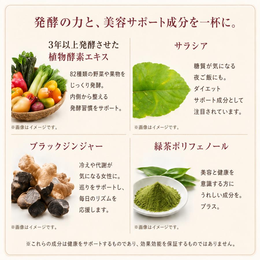 管理栄養士監修】発酵美人茶漬け 鮭 10食入 個包装 無添加 酵素