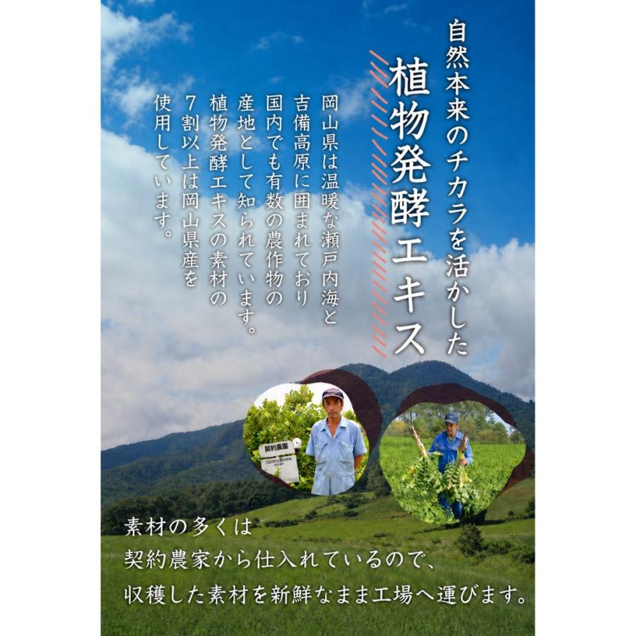 管理栄養士監修】発酵美人茶漬け 鮭 10食入 個包装 無添加 酵素