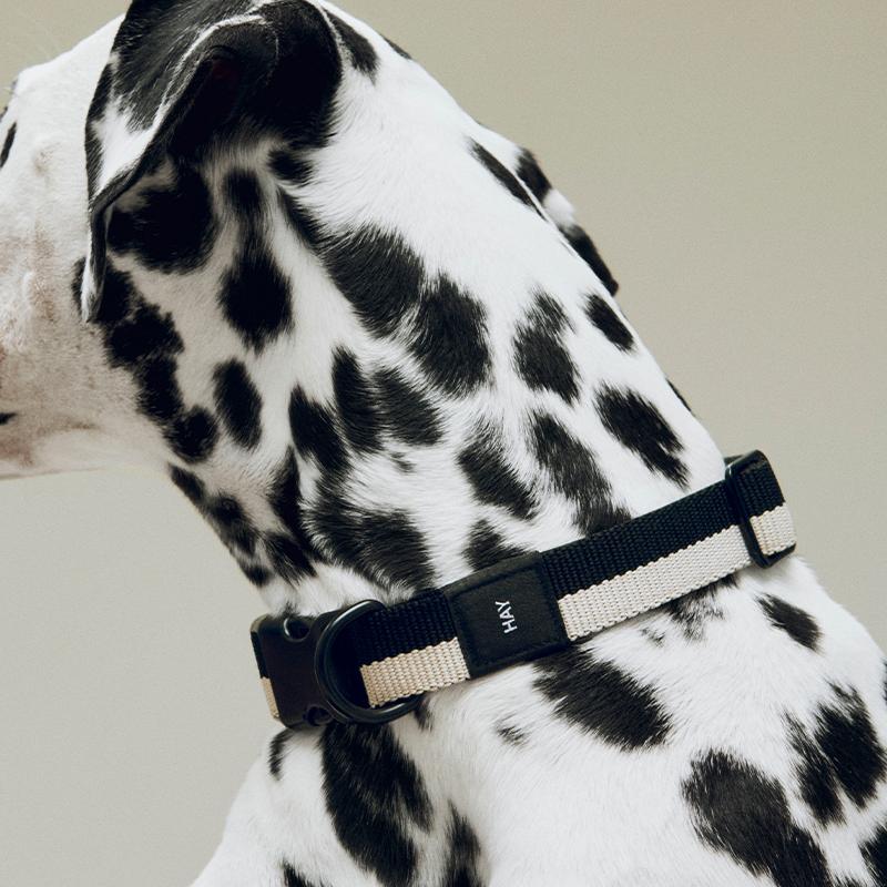 正規販売店】HAY Dogs Collar Flat #S/M《2025SS》ヘイ 犬 首輪 犬首輪