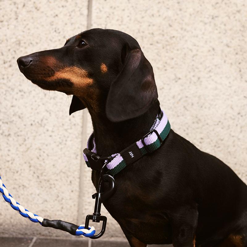 首輪・ハーネス・リード HAY DOG COLLAR FLAT 15M & LEASH ブルー 《30%OFF》【正規販売店】HAY Dogs Collar Flat #S/M ヘイ 首輪
