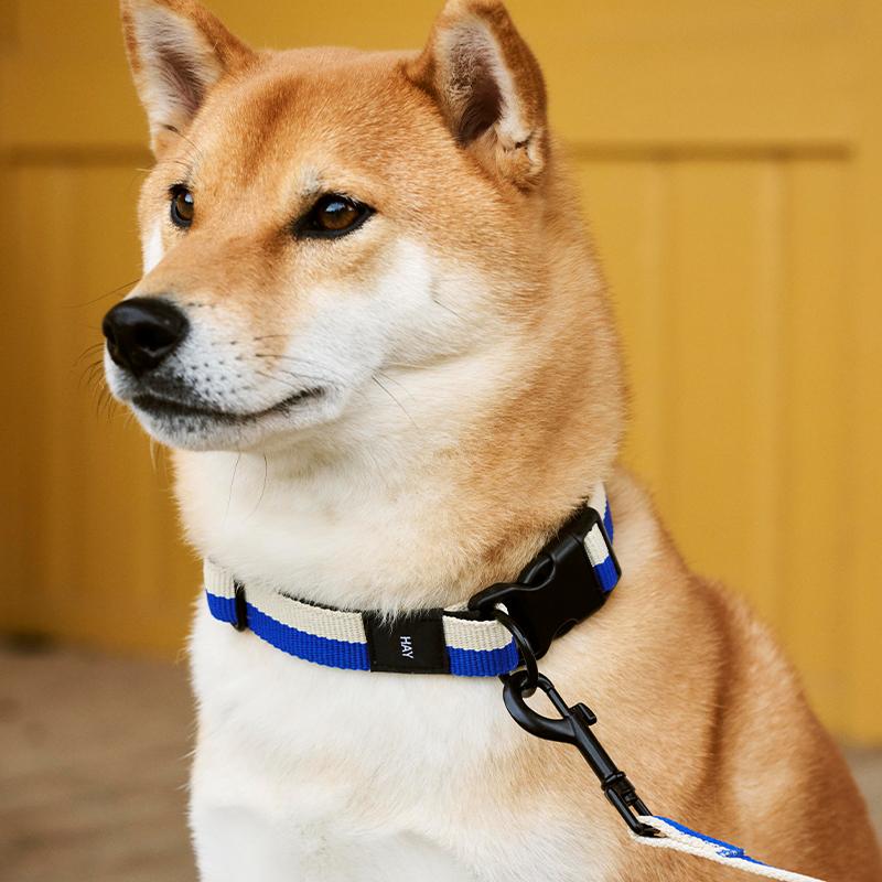 ブルー 《30%OFF》【正規販売店】HAY Dogs Collar Flat #S/M ヘイ 首輪
