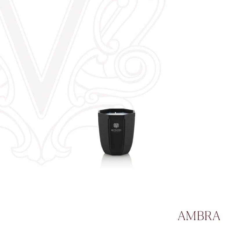 DR. VRANJES（ドットール・ヴラニエス） Dr.Vranjes Holiday season