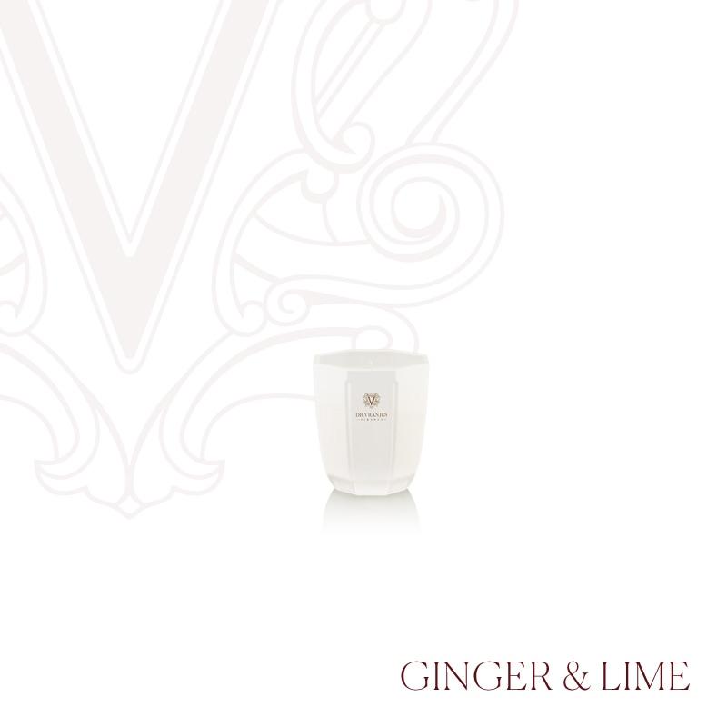 DR.VRANJES アドベントカレンダー 限定品 未使用 楽天市場】《楽天大感謝祭》ドットール・ヴラニエス Dr.Vranjes