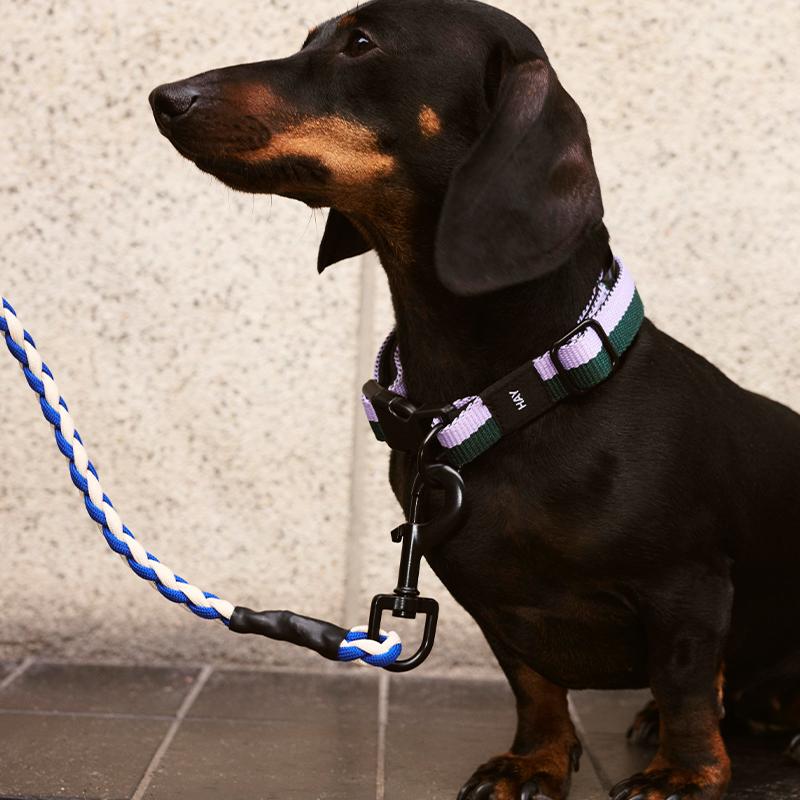 30%OFF》【正規販売店】HAY Dogs Leash Braided ヘイ 犬 リード 160cm