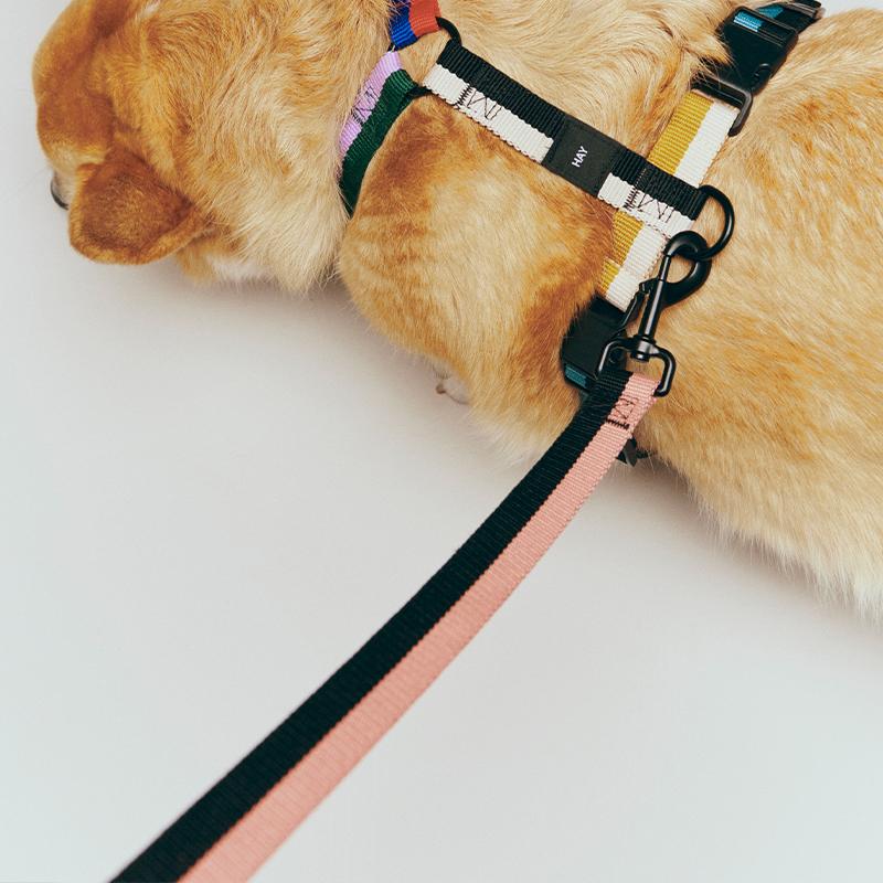 正規販売店】HAY Dogs Leash Flat ヘイ 犬 リード 160cm 犬用 小型犬