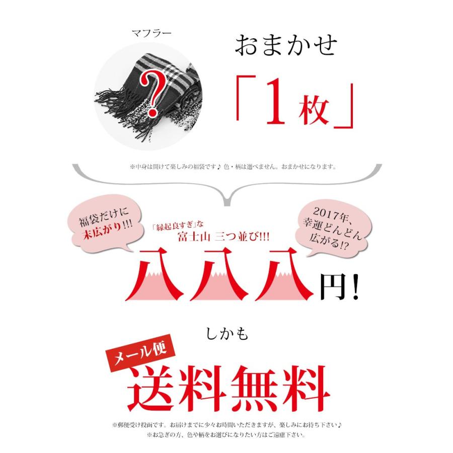 福を呼ぶ！ マフラー福袋（アクリル100％） 縁起がいい！末広がりな八八八円！ さらにメール便送料無料！ おまかせ色・柄 |  | 04
