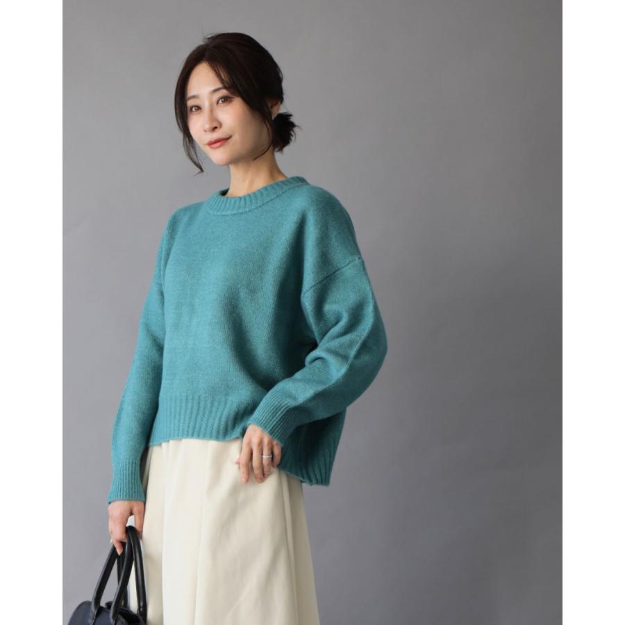 クルーネックショート ニット 起毛 あったかニット 毛足ある 柔らかニット 汚れない 極暖 スカート ロング 冬 | Ehre style | 13