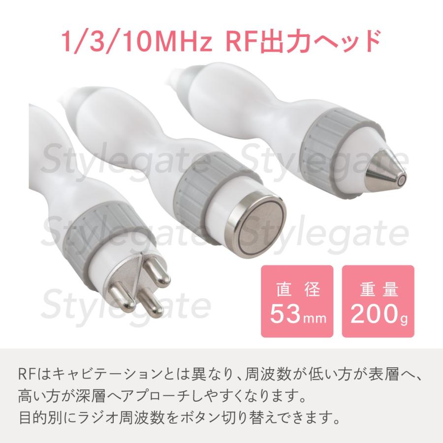 家庭・業務用キャビテーション 25KHz 40KHz ラジオ波 家庭・業務用キャビテーション 25KHz 40KHz ラジオ波
