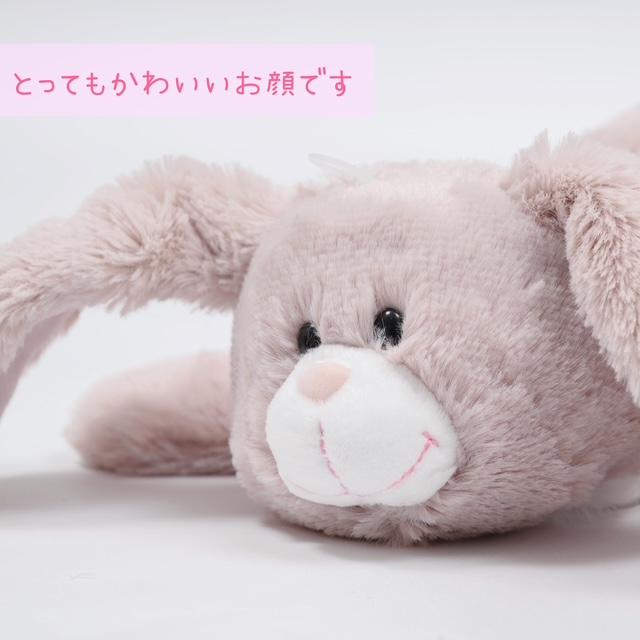 nici（ニキ） ペンケース タレミミウサギ 筆箱 フィギュア ペンケース