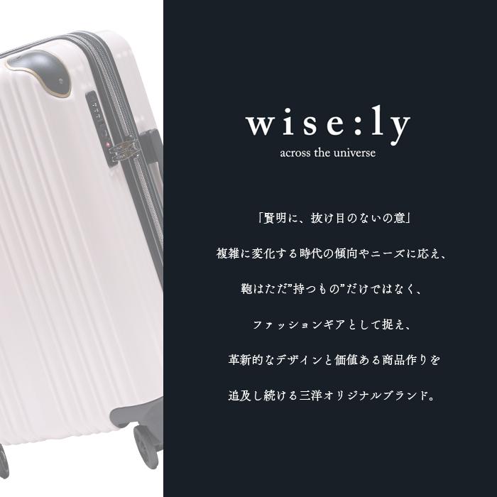 New（ワイズリー）スーツケース ブランド 軽量 双輪キャスター ストッパー機能付 TSAロック 約37~41L 拡張型(通常タイプ) 爆買 イベントの画像