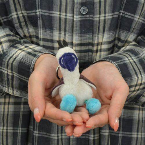 nici（ニキ） NICI(ニキ)【正規商品】キーリング WF25 アオアシ