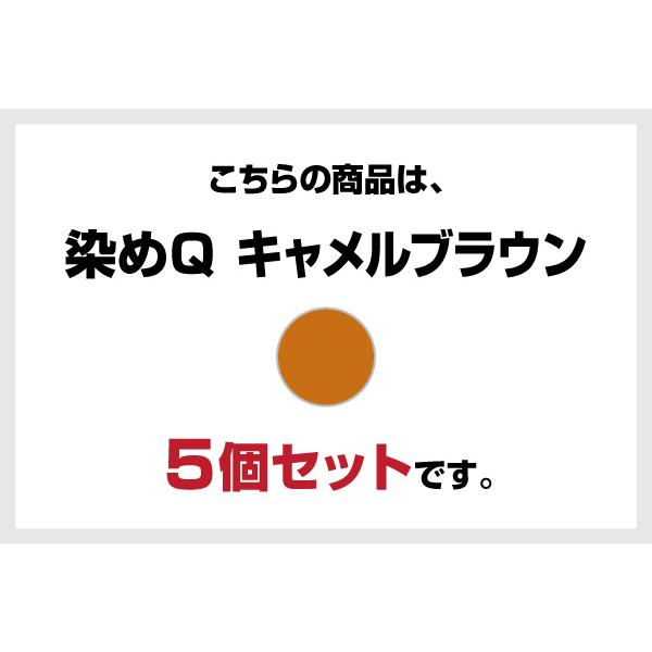 染めQ エアゾール 70ml キャメルブラウン 【5本セット】 速乾 密着