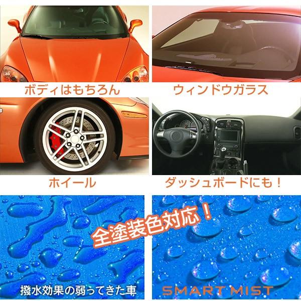 Cciスマートミスト ボディコーティング 280ml 3個set タイヤワックス マイクロファイバークロス スポンジ付 撥水 ツヤ 簡単施工 スタイルマーケットyahoo ショップ 通販 Yahoo ショッピング