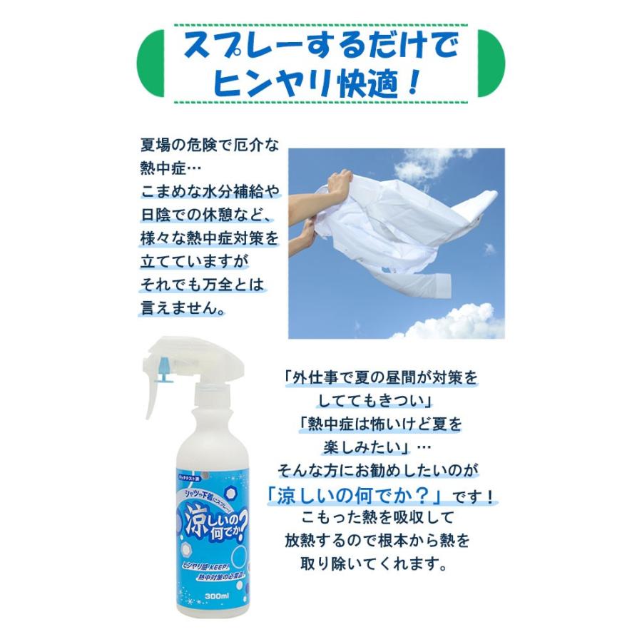 冷感スプレー 染めq 涼しいの何でか ２本セット 300ml 熱中症対策 メントール 衣服用 暑さ対策 ひんやり お出かけ アウトドア スタイルマーケットyahoo ショップ 通販 Yahoo ショッピング
