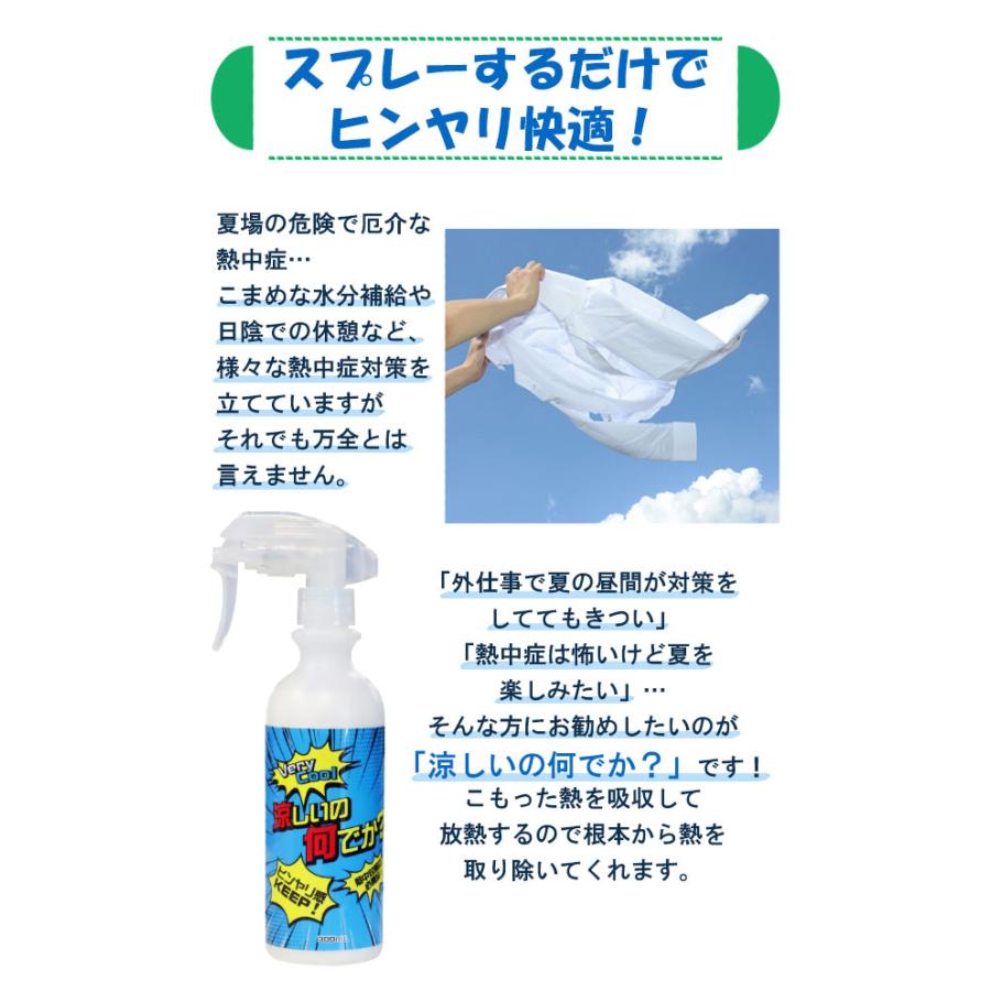 冷感スプレー 染めQ 涼しいの何でか？ ２本セット 300ml 熱中症対策 メントール  衣服用 暑さ対策 ひんやり お出かけ アウトドア |  | 01