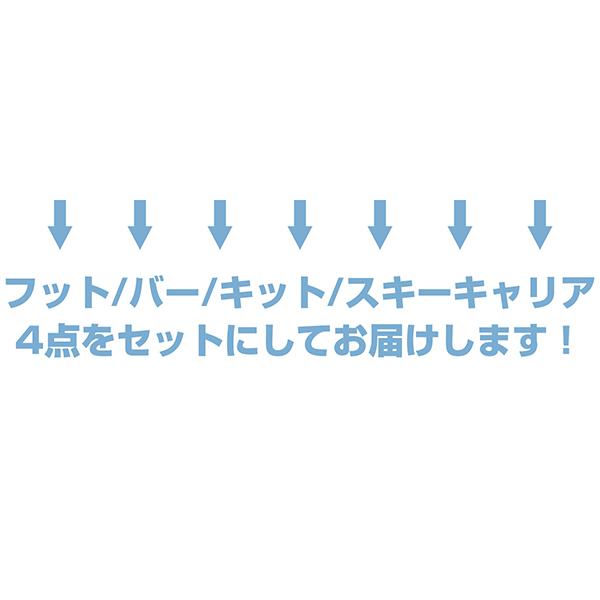 THULE（スーリー） BMW 3シリーズ ツーリング専用ベースキャリア（フット7106+ウイングバー EVO7112B+キット6007）+スキーキャリア スノーパック7324B F31