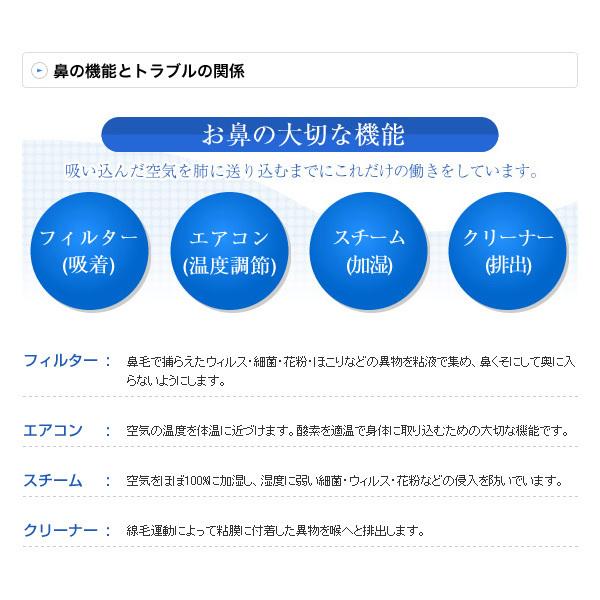 医療機関でも使われている本格鼻洗浄器東京鼻科学 花粉症 アレルギー鼻炎 鼻うがい洗浄液 鼻くりーん Tbk ハナクリーンex 3g 180包入り A用洗浄剤 サーレｍｐ180