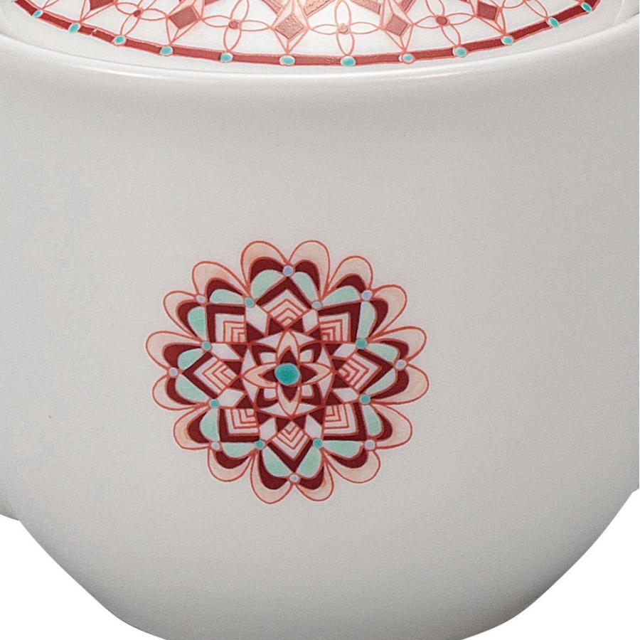 日本の伝統工芸品【九谷焼】 ポット急須 赤絵丸紋 網付 大志窯 (K9-641) (K8-576)_5
