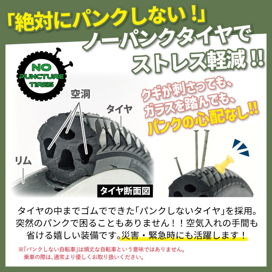電動アシスト ロータイプ 三輪自転車 ノーパンクタイヤ フロント18