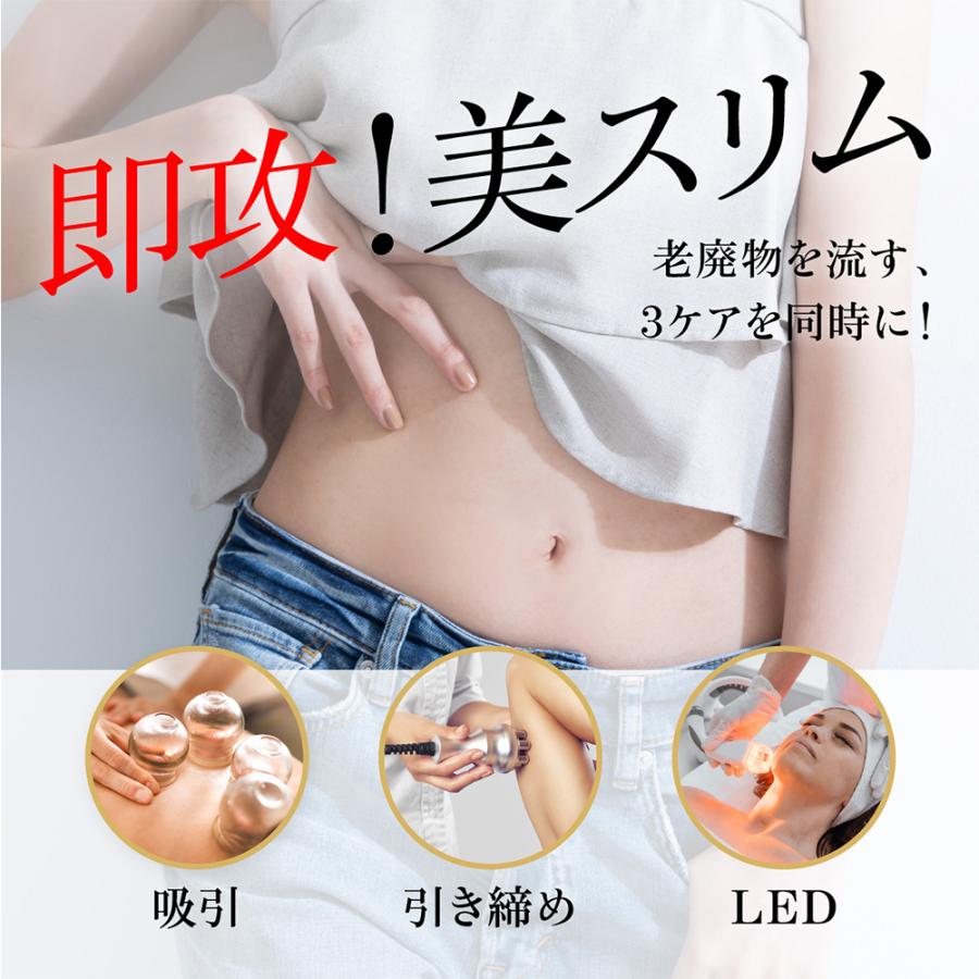 WAVEWAVE フェイス ボディ に 吸引 引き締め LEDケア EMS Slim Esthe