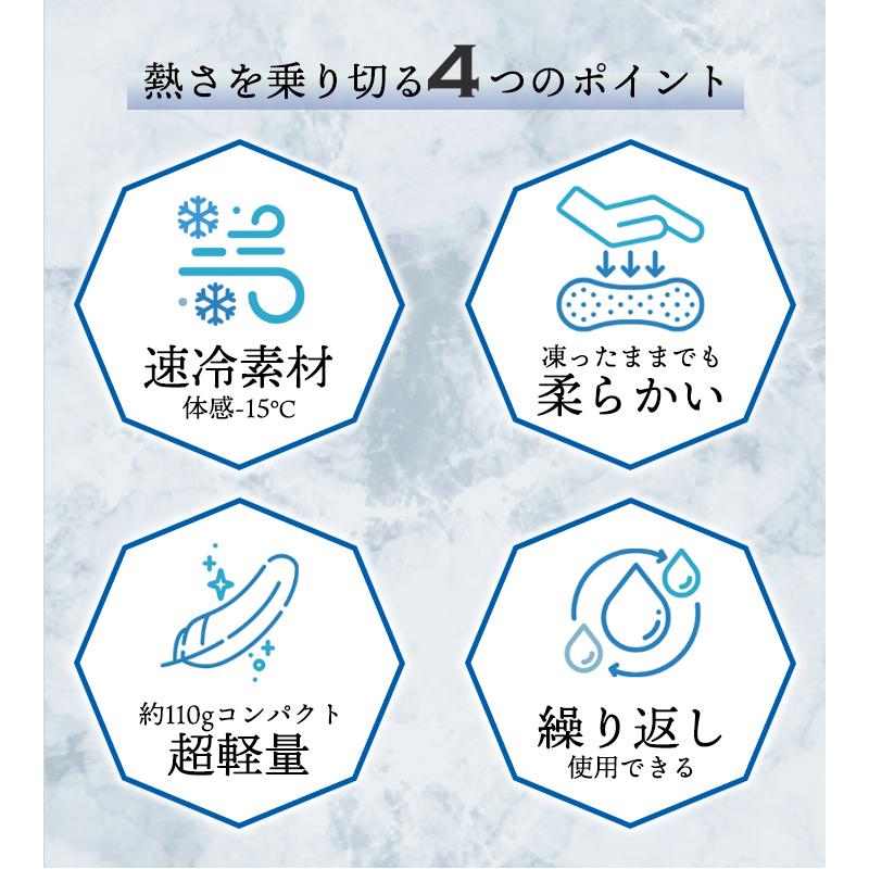 2点で20%offクーポン】帽子 保冷剤 ヘッドクーラー 帽子用 アイス