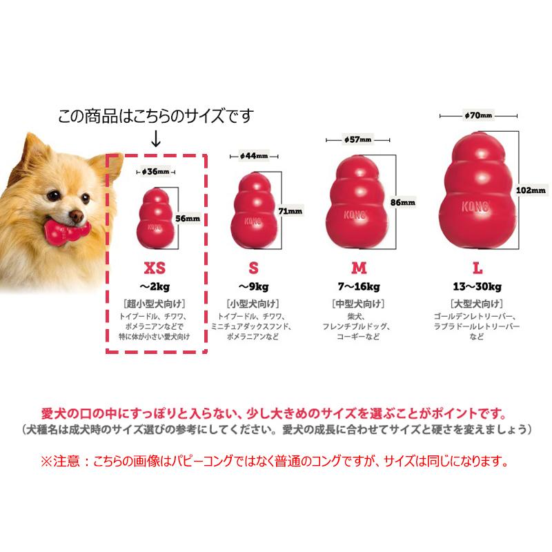 KONG（コング） 愛犬用 しつけ/知育玩具 パピーコング XS ブルー 超