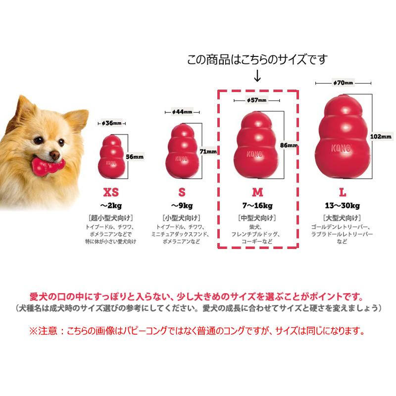 KONG（コング） 愛犬用 しつけ/知育玩具 パピーコング M ブルー 中型犬