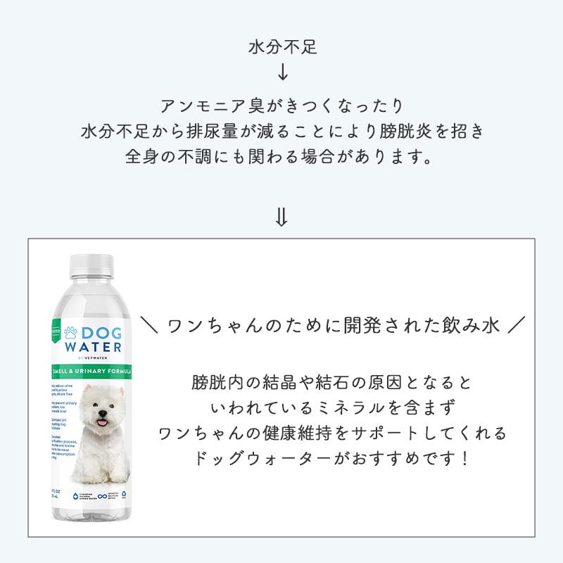 FANTASY WORLD（ファンタジーワールド） PHバランス ドッグウォーター