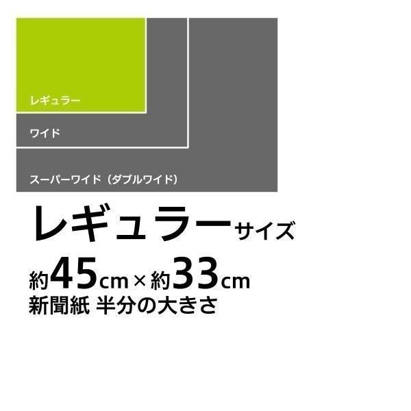 薄型　ペットシーツ　レギュラー　960枚 （240枚×4袋）　ペットシーツ専門店 スタイルプラス オリジナル | スタイルプラス | 01