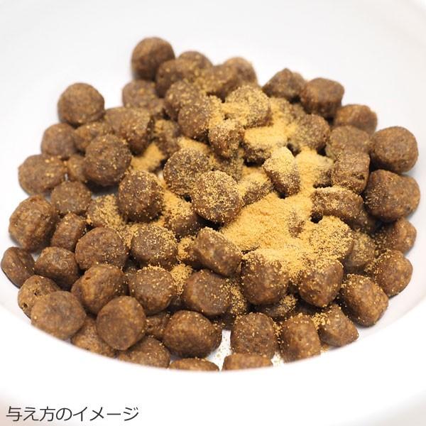 姫マツタケ コスペット V101 60g エキス顆粒 パウダータイプ