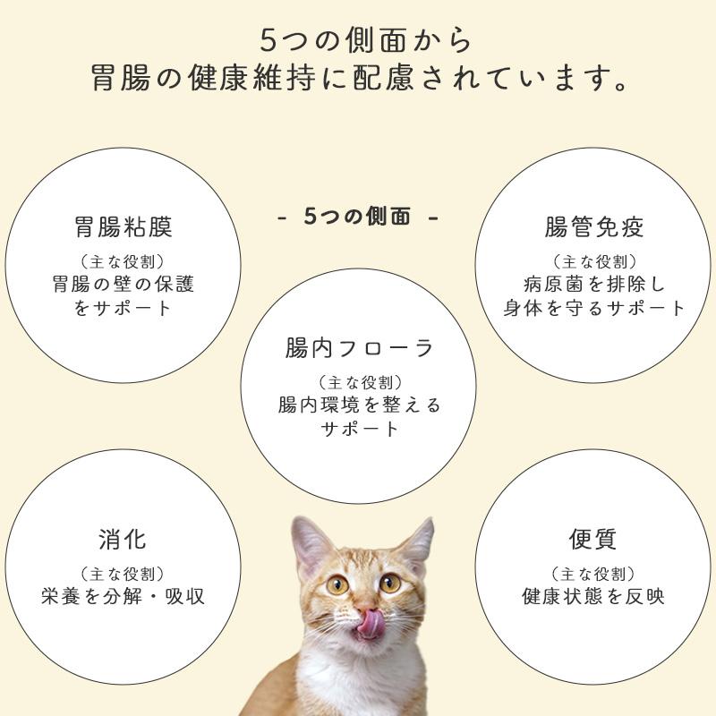 ボール　国産　ねこみ〜る無添加サプリseries SuppleValue5　胃腸健康維持　サーモン　40g x 14袋　猫用　ウェットフード　キャットフード　パウチ　日本産 | ブランド登録なし | 05