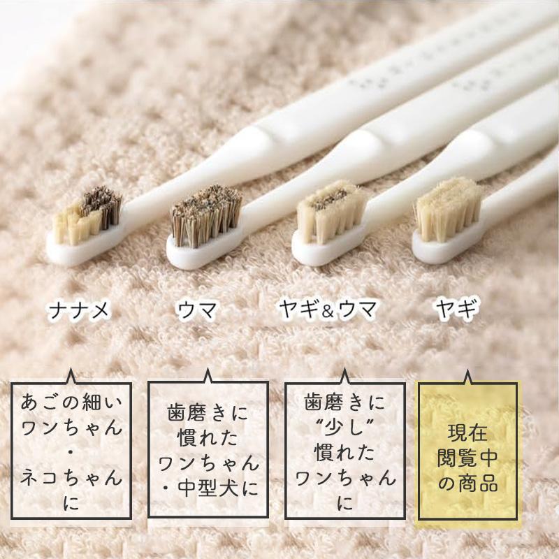 MIGAKENDE 小型犬用 天然毛歯ブラシ ミガケンデ ヤギ植毛 超柔らか