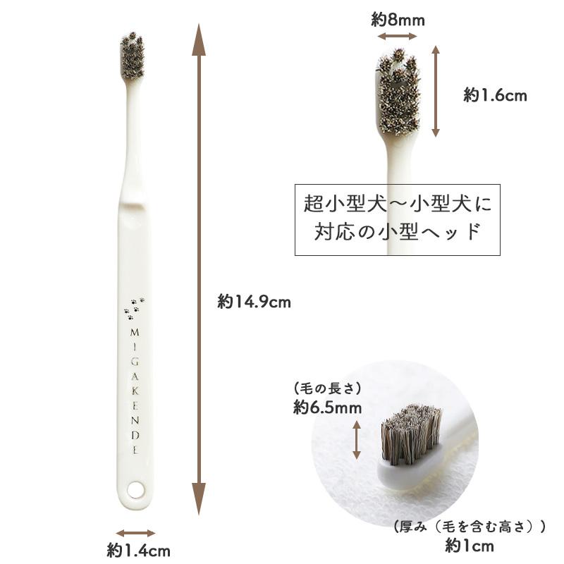 MIGAKENDE 小型犬・中型犬用 天然毛歯ブラシ ミガケンデ ウマ植毛