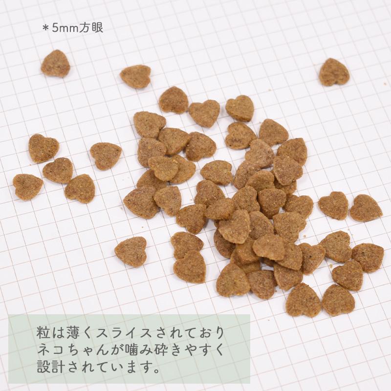 プロステージ ル・シャット 正規品 イースター 猫ドライ プロ