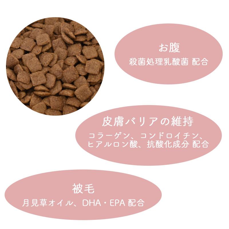 正規品　イースター　猫ドライ　プロステージ　ル・シャット　皮膚・被毛の健康に配慮　4kg（500g×8）　国産　ルシャット　キャットフード　成猫　小粒 | プロステージ ル・シャット | 03