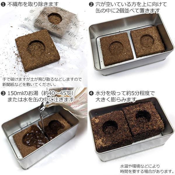 リーメント 牧場 動物セット リーメント ぷちサンプルシリーズ 会員制ディスカウントストア