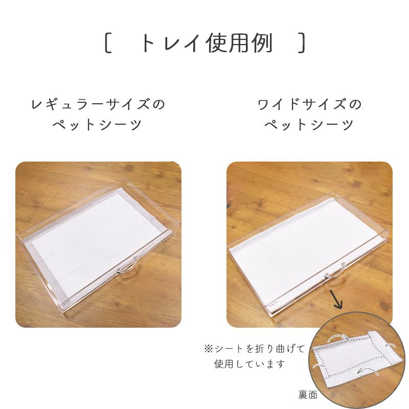 GEX GEX アクリルルーム III 500High フクロモモンガ/デグー用 GEX GEX アクリルルーム III 500High フクロモモンガ/デグー用