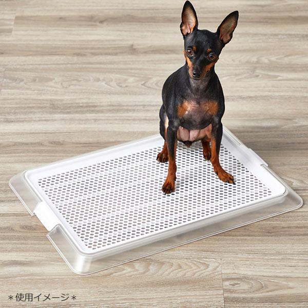 ボンビアルコン ボンビ ペットレークリアメッシュ Sサイズ 犬用